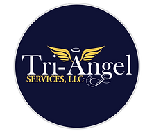 NavyCircle_White_YellowWings_edited.png