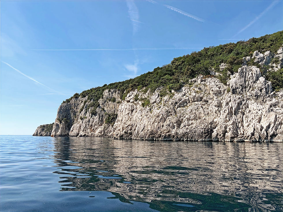 Augenhöhe Blick auf die türkisfarbene Adria und Pinienwälder der Kvarner Bucht