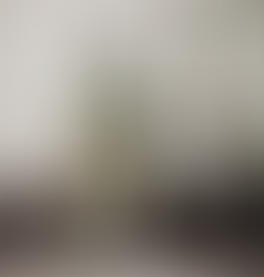 ดอกไม้จากลิงฆาใต้ร่มพระบารมีตำนานเจ้าจอมตนกูสุเปีย สตรีมุสลิมหนึ่งเดียวในรัชกาลที่ ๔