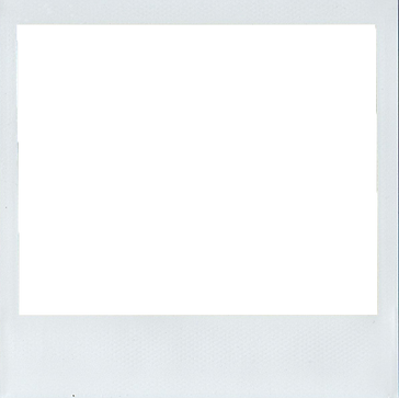 polaroid.png