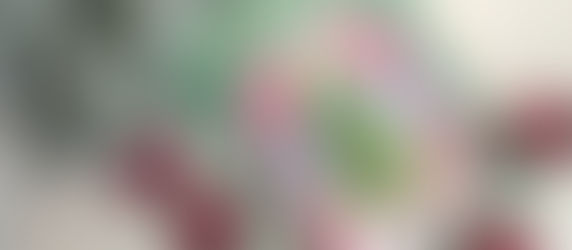 «Το Χριστουγεννιάτικο δέντρο του κυρίου Γουίλομπι»