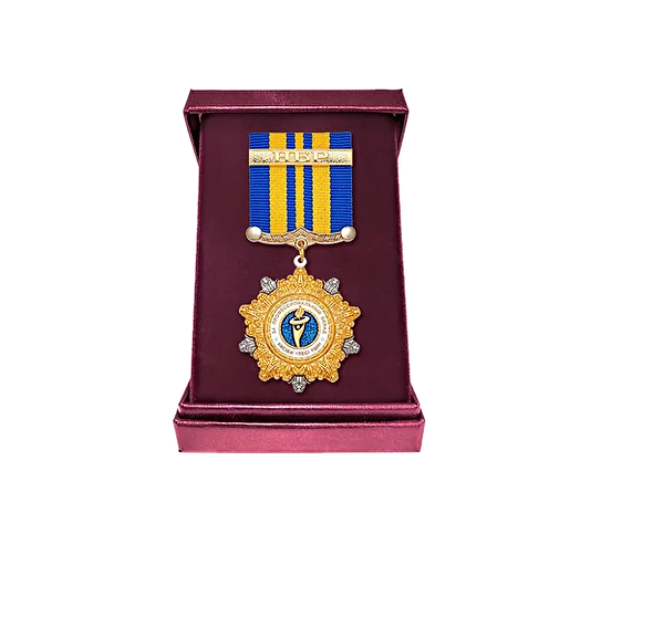 Медаль за профессиональный вклад.png