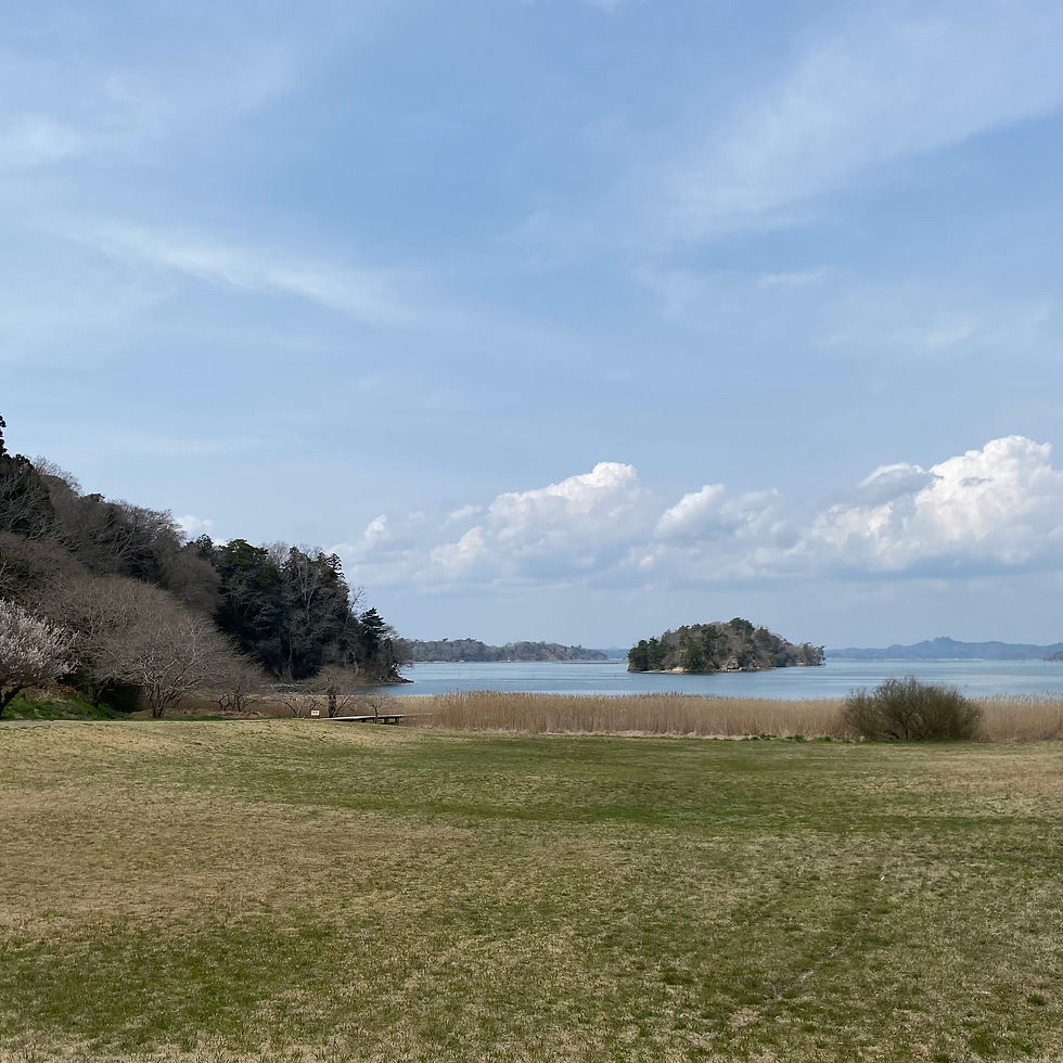 宮戸島の静かな田舎