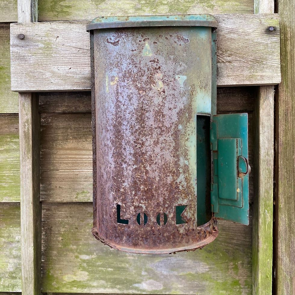 ăĄăŒă«ăăȘă