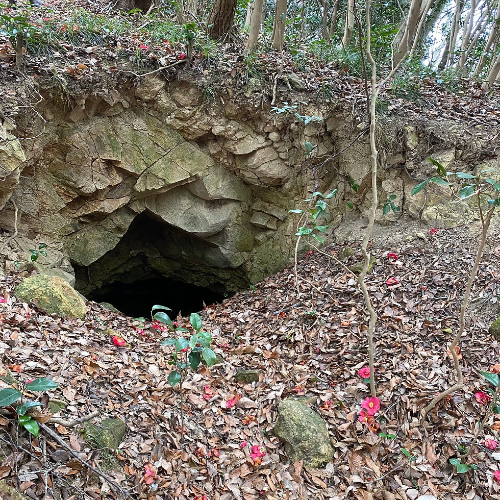 これは何ですか?ここにドラゴンが住んでいますか?