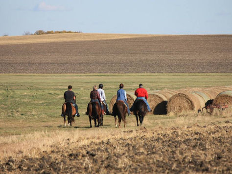 Enjoy the freedom of fall riding