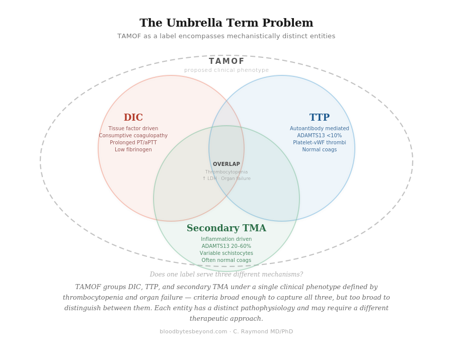 Does TAMOF Exist? Revisiting a Diagnosis I Thought I Understood