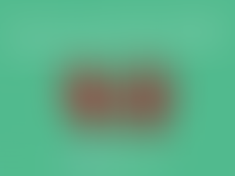 BOLSONARO: VOCAÇÃO E VÍNCULOS COM A VIOLÊNCIA