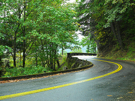 Reflection and the Road Ahead