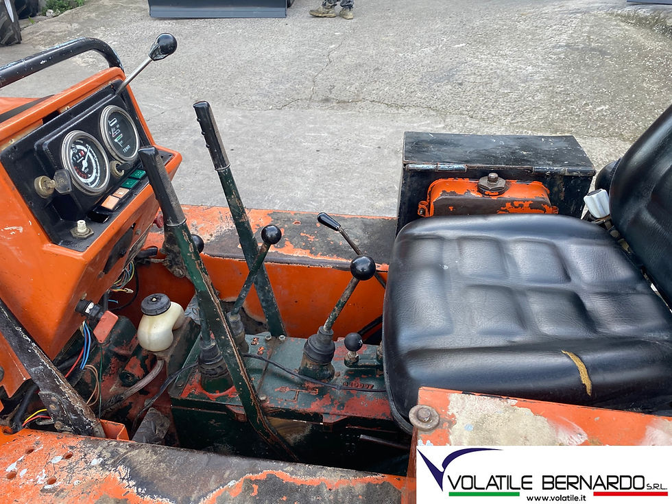 Miniatura: Goldoni C60 Trattore Usato Cingolato