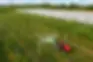 Frutteto_Natural_80_Stage_V_Field_DJI_0413_preview.jpg.webp