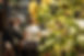 Jardin21-Ateliers-LevietPhoto-072025-3328.jpg
