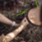 Atelier jardinage : réaliser des semis pour le jardin