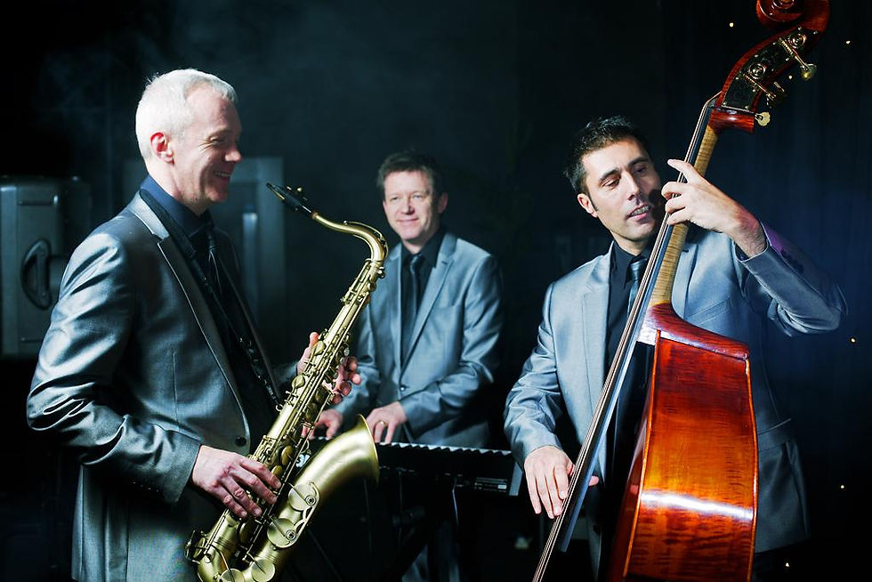 Chameleon jazz trio
