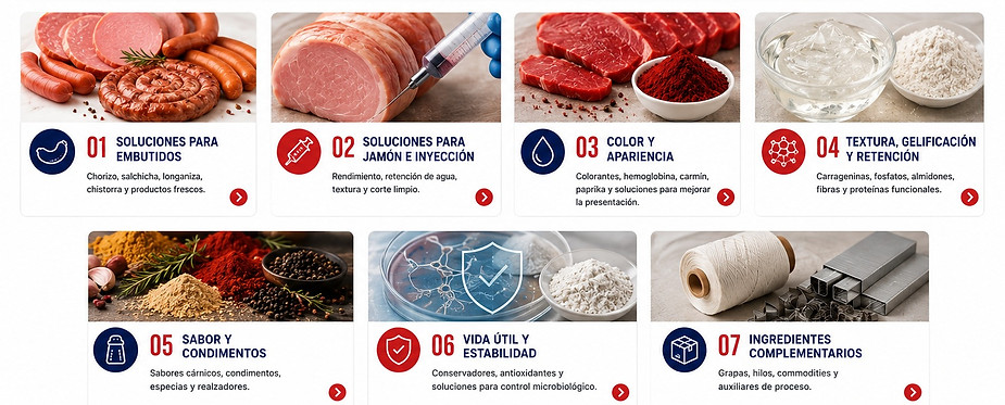 Nuestras categorias.jpg