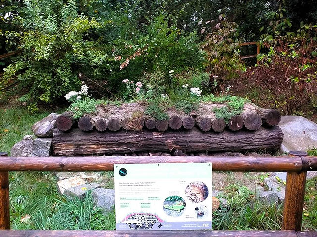 Kleintierhabitat im Park