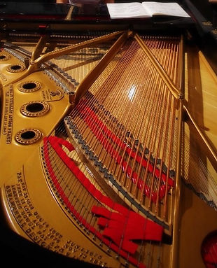 川崎市中原区 武蔵小杉 ピアノ教室