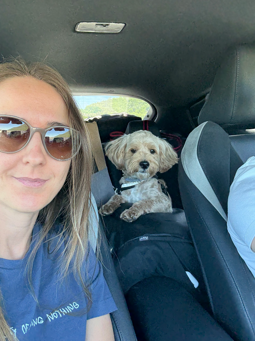 Dog Travel Anxiety: How to Keep Your Dog Calm When Travelling