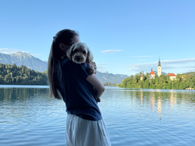 The Ultimate Lake Bled Travel Guide: Everything I Wish I Knew Before Visiting