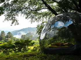 Top Glamping Destinations for Each Season: Year-Round Luxury Camping Experiences