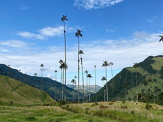 salento-colombia