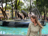 Cenotes, Street Tacos & Yucatán Road Trips: Traveler’s Guide to Mexico