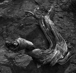 201A9066 RETO1 copyPEQ01-03-22