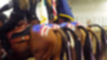 Cash Lovel the magic of horses