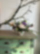 thumbnail_IMG_4054.jpg