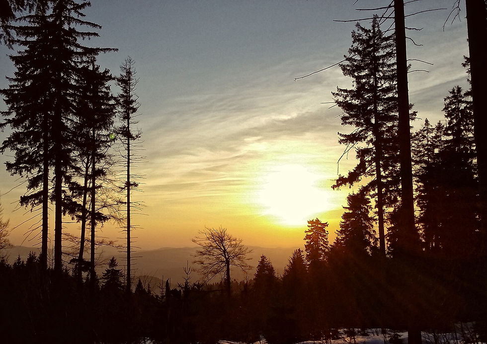 20150307_172128 copy.jpg