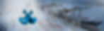 Siethom-Header-Nemax-1.jpg