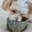 Thumbnail: Designer Dog Bowl Small - Ceramic