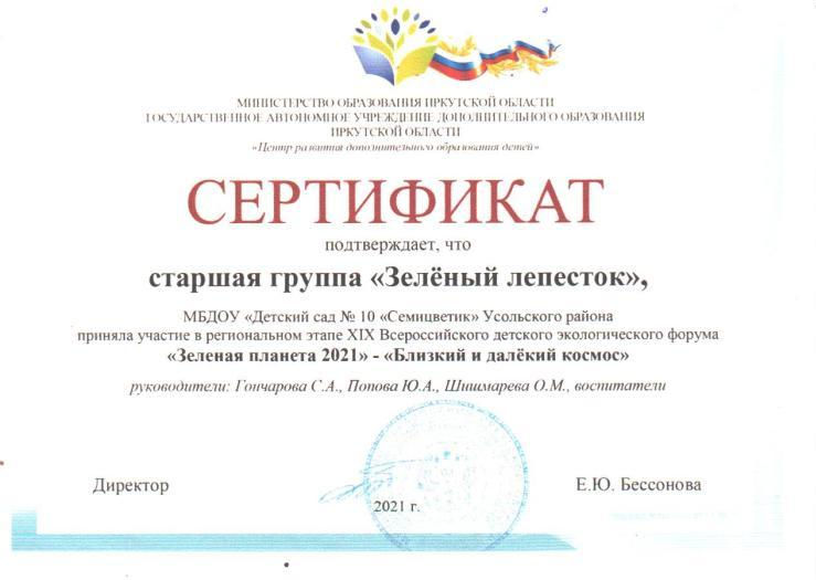 сертификат участника в 2021 г 001