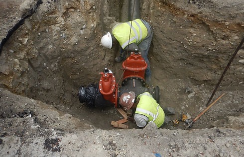 SilverAcres Website.JPG