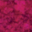 Hoffman Fabrics - Bali Batiks - Maraschino Cherry 839-396| On The Bias Designs