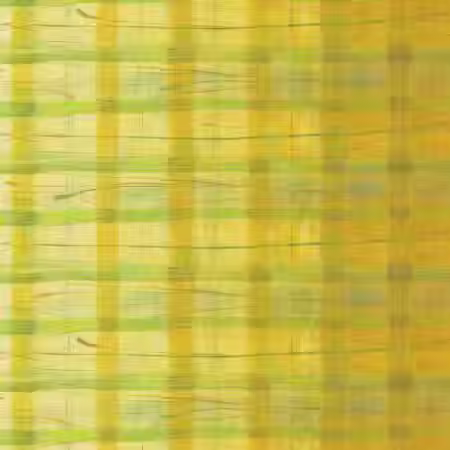 Windham Fabrics - The Plaid One - Yuzu Yuzu 54919D-2 | On The Bias Designs