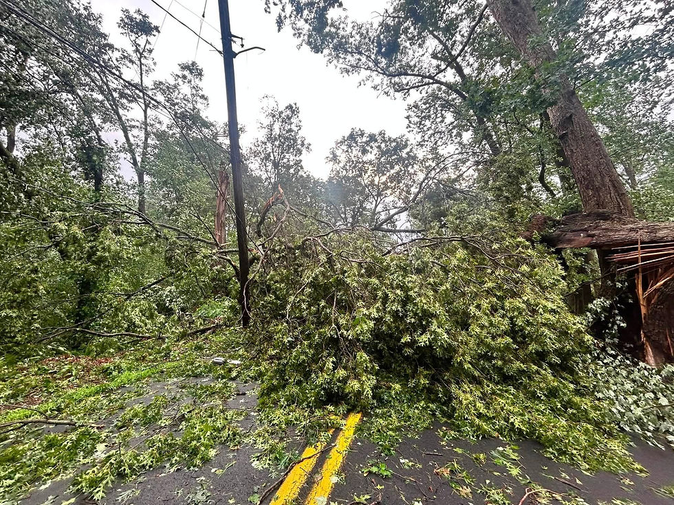 Dunham Drive MAUREEN CASSIDY PHOTO