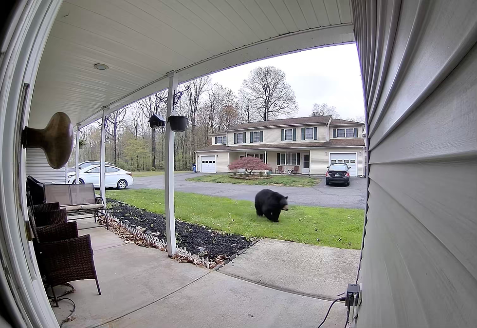 SCREENSHOT OF VIDEO BY CHRIS GAMELIN