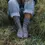 Thumbnail: Ragg Socks -Ink