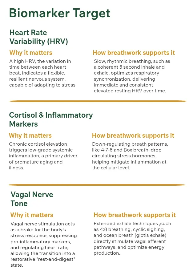 Breathing: the Ultimate Biohack