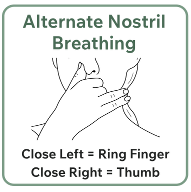 Alternate Nostril Breathing (Nadi) How to Image