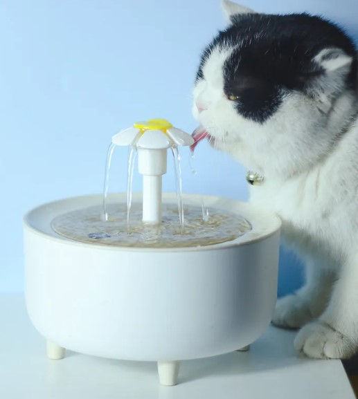 Miniatura: Pets Water Fountain