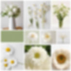 white flower mood board