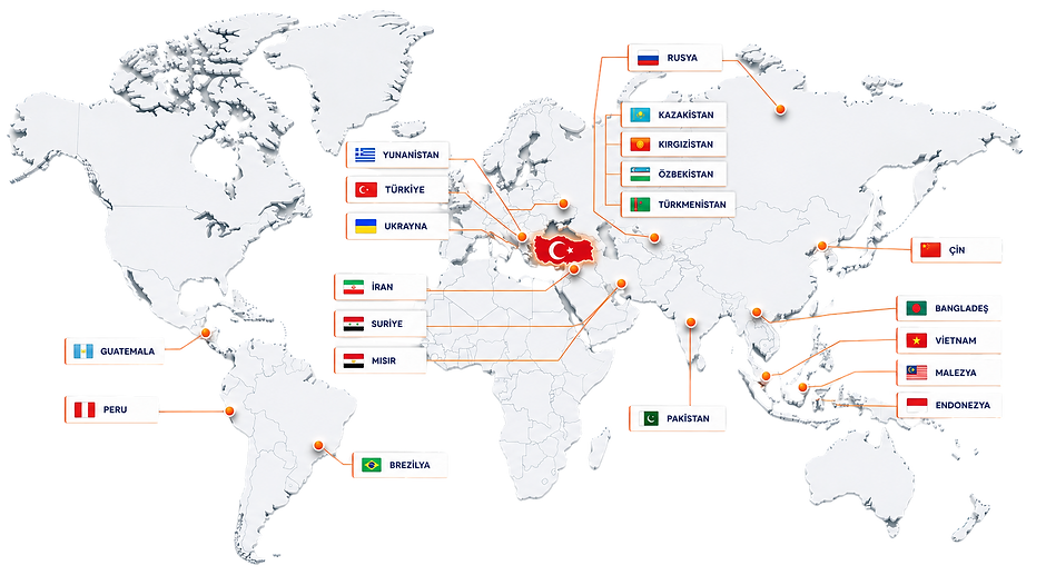 Global Ağ Haritası - Düzenlendi.png