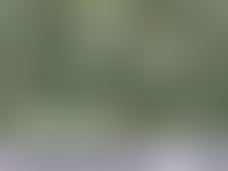 5 WAYS TO PAY FOR YOUR FUNERAL THAT WON’T LEAVE YOUR FAMILY TO FOOT THE BILL