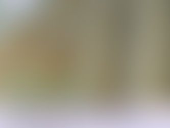 ANNE HECHE DIES WITH CONFLICT AROUND HER WILL, LEAVING HER SONS & ESTATE IN LEGAL LIMBO—PART 2