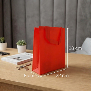 8 x 22 x 28 cm.png