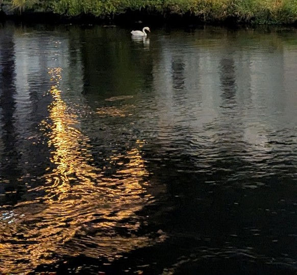 Lights reflecting off the water in Bydgoszcz, PL, photographed two weeks earlier, depict the visual impression created by Kern's Debussy performance.