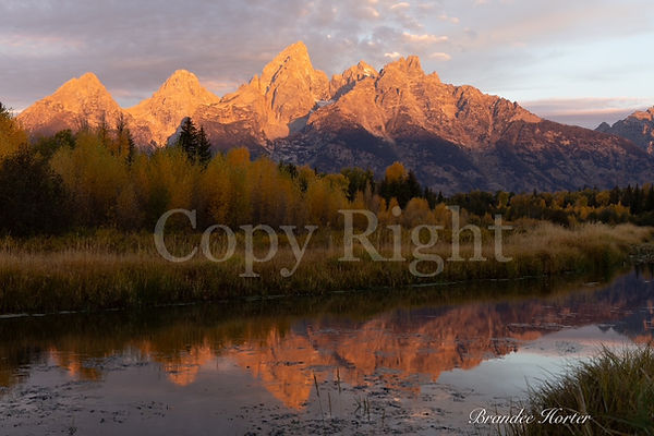 2025-1 (2)_edited.jpg