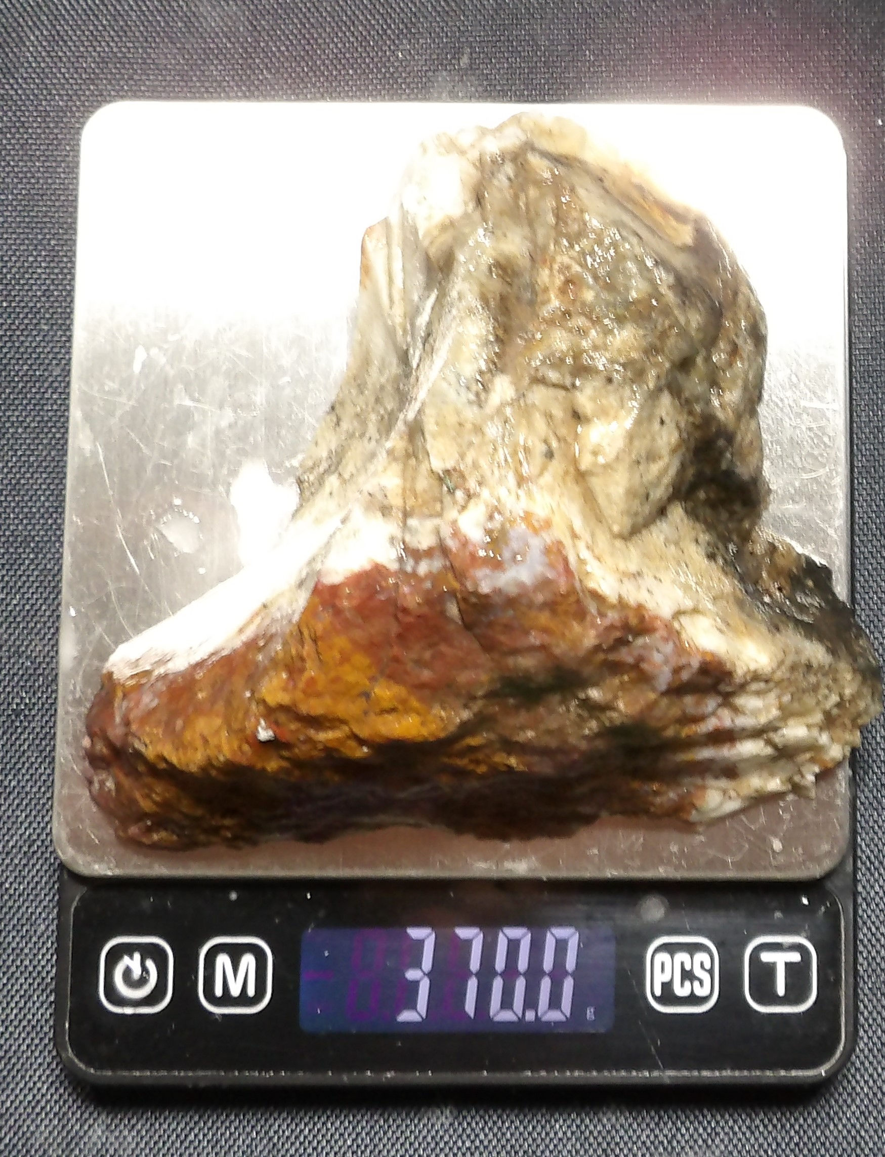 Indonesian Petrified Wood